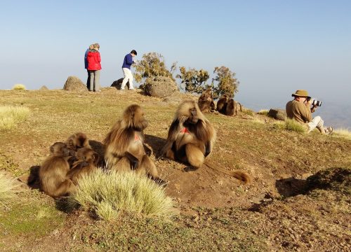 6-Day Northern Ethiopia Tour | Ethiopia Historical Journey